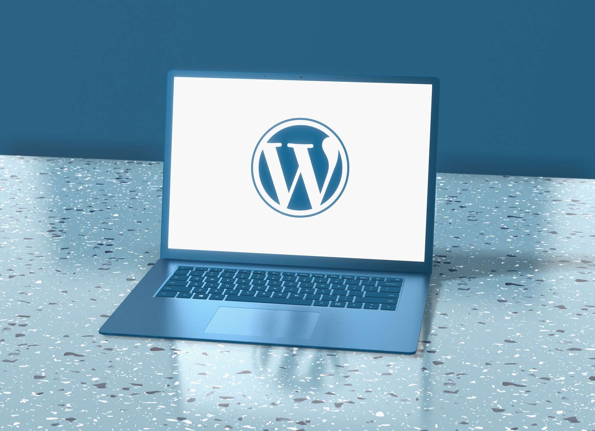 Como reducir el tiempo de respuesta inicial del servidor WordPress