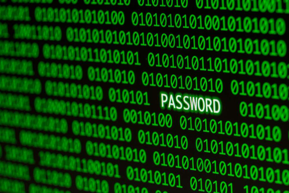 experto en seguridad de WordPress