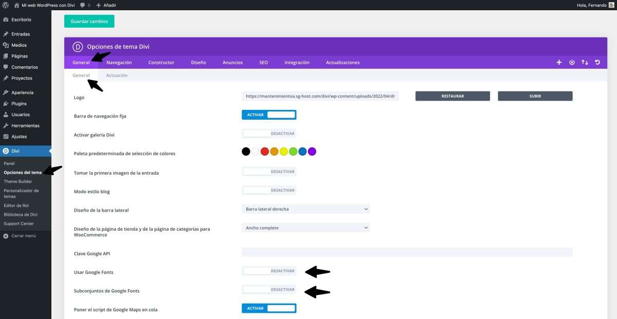 Evita Cargar Google Fonts Directamente para Optimizar el DOM en Divi